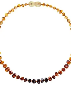 Powell's Owl Amber Baroque Rainbow Necklace