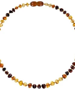 Powell's Owl Amber Baroque Rainbow Wave Necklace