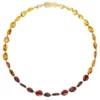 Powell's Owl Amber Beans Rainbow Necklace Jewelry
