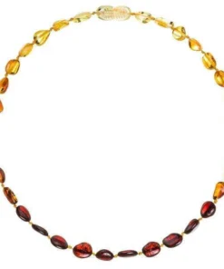 Powell's Owl Amber Beans Rainbow Necklace Jewelry