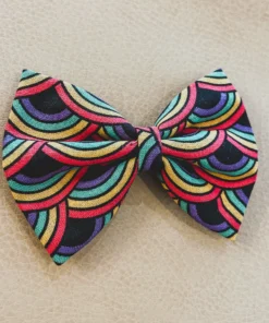 Bows For Show Neon Rainbow Hair Bow Clip