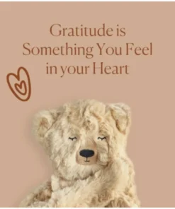 Slumberkins Books + Puzzles Honey Bear Snuggler - Gratitude Collection