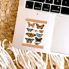Elyse Breanne Designs Paper Goods Clear Butterfly Banner Sticker