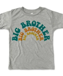 Rivet Apparel Graphic Tees Big Brother Heather Stone Vintage Tee