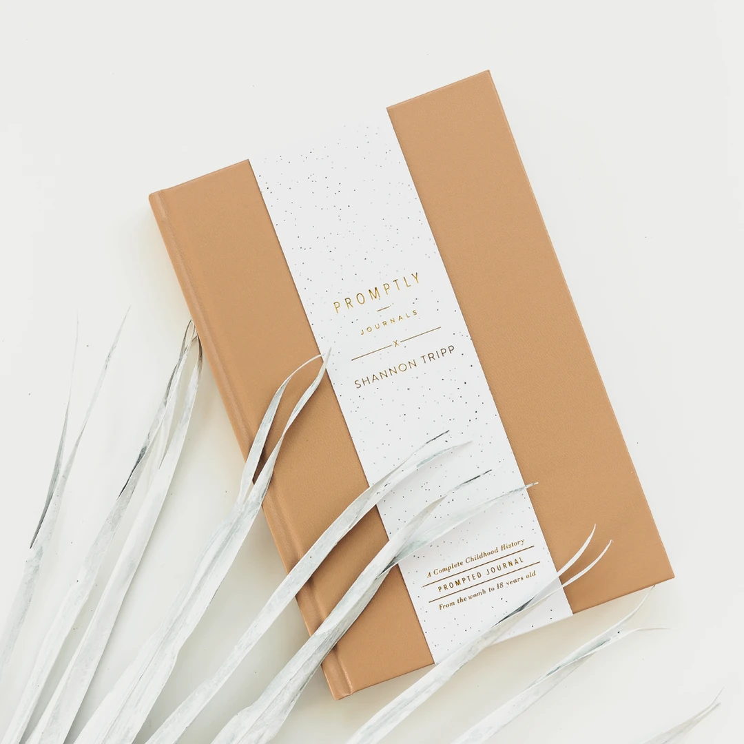 Promptly Journals Cashew Childhood History Journal X Shannon Tripp Paper Goods 3 Promptly Journals Cashew Childhood History Journal X Shannon Tripp Paper Goods