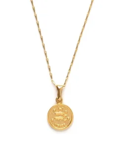 Amano Studio Tiny Zodiac Pisces Gold Necklace Necklaces