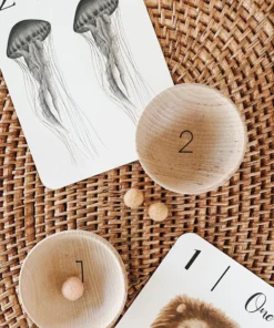 Elm + Otter Wooden Counting Bowls + Felt Balls Toy