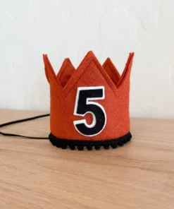 Cutest Little Party Party Time # 5 Copper Felt + Black Pom Trim + Black/white Crown