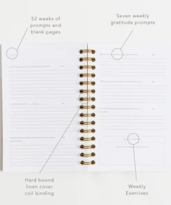 Promptly Journals Cashew Leatherette Gratitude Journal Paper Goods