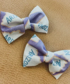 Bows For Show Arizona Pigtail Hair Bow Clips