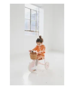 Banwood Bikes Pink Banwood Tricycle Toys