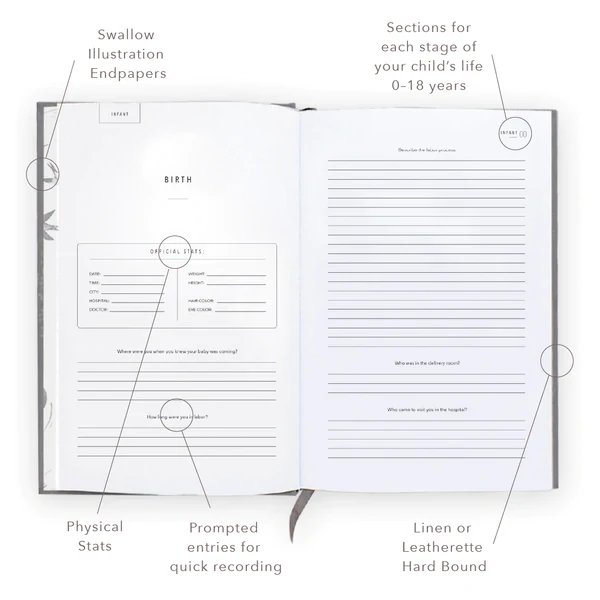 Promptly Journals Cashew Childhood History Journal X Shannon Tripp Paper Goods 6 Promptly Journals Cashew Childhood History Journal X Shannon Tripp Paper Goods