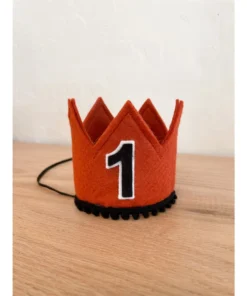 Cutest Little Party # 1 Copper Felt + Black Pom Trim + Black/white Crown Party Time