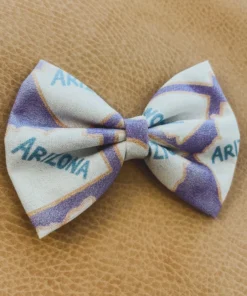 Bows For Show Arizona Hair Bow Clip