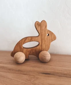 Bannor Toys Bunny Wooden Push Toy