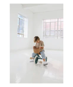 Banwood Bikes Toys Green Banwood Tricycle