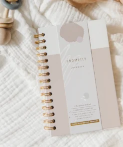 Promptly Journals Paper Goods Powdered Lilac Postpartum Journal