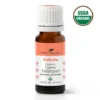 Plant Therapy Organic Germ Destroyer Kidsafe Essential Oil Apothecary