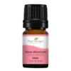 Plant Therapy Rose Absolute Essential Oils 2 Plant Therapy Rose Absolute Essential Oils