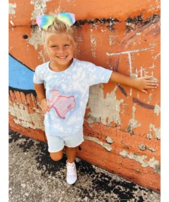 Gina Tees Pink Texas State Tee